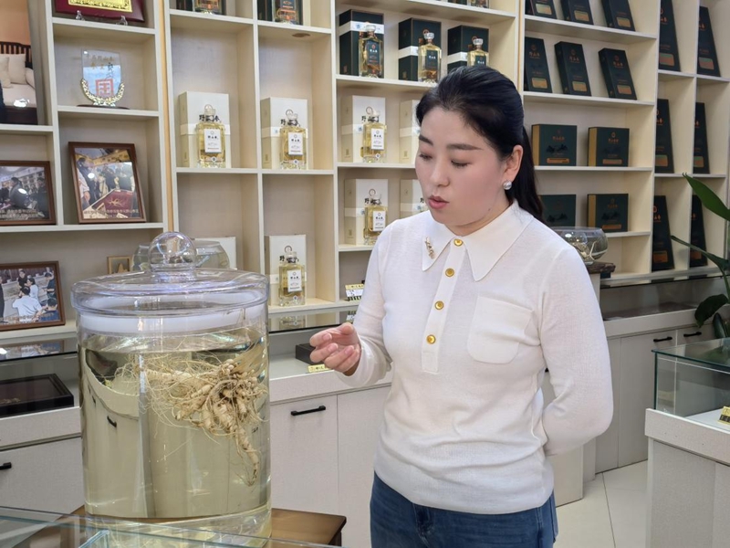 孫寧宇介紹人參酒。人民網記者 馬俊華攝