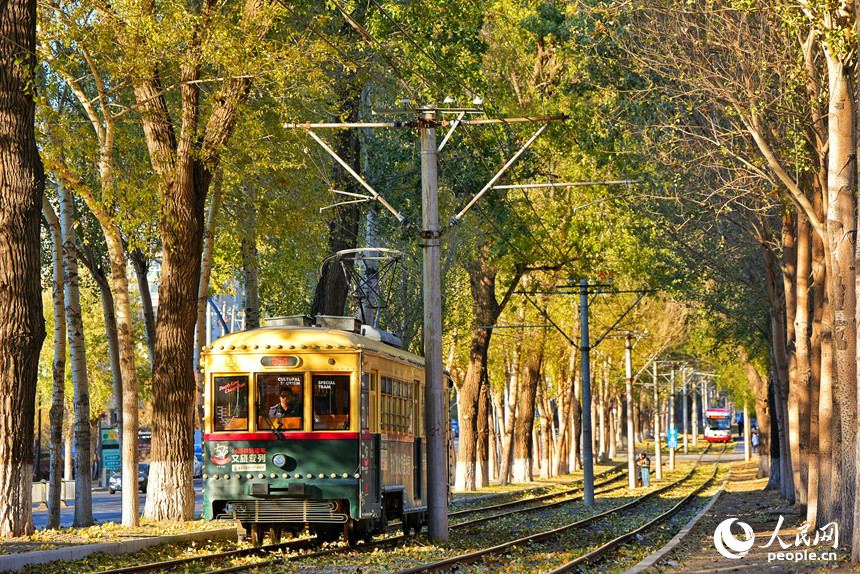 54路文旅專列駛入秋日的“油畫”中。人民網記者 李洋攝