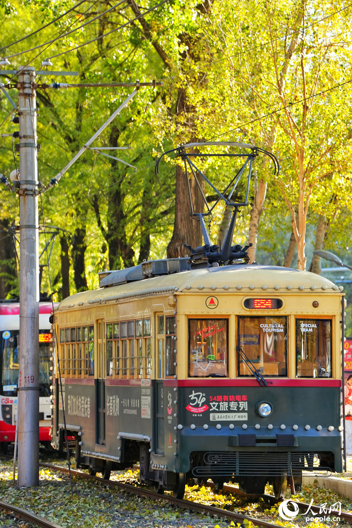 金秋時節，長春市54路有軌電車落葉景觀街區迎來最佳觀賞期。人民網記者 李洋攝