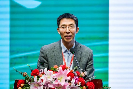 曾嶸教授作報告